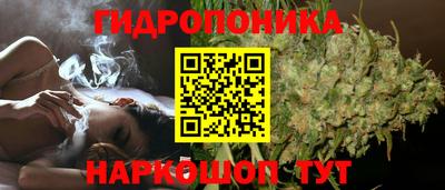 дживик Малгобек