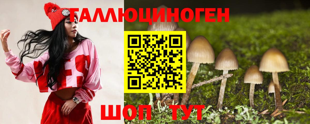 Галлюциногенные грибы прущие грибы  Вход с VPN  Чусовой  Псилоцибиновые грибы Psilocybine cubensis 