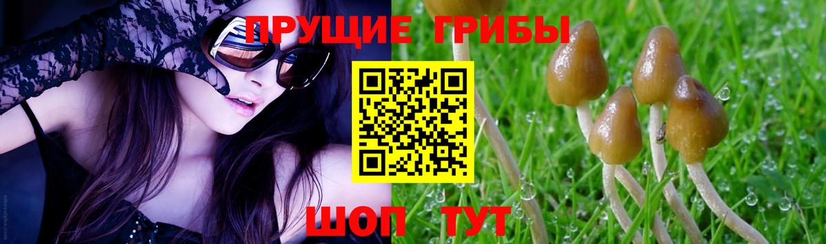 Галлюциногенные грибы мухоморы Чусовой